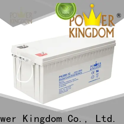 Power Kingdom Wholesale small agm battery company Power tools