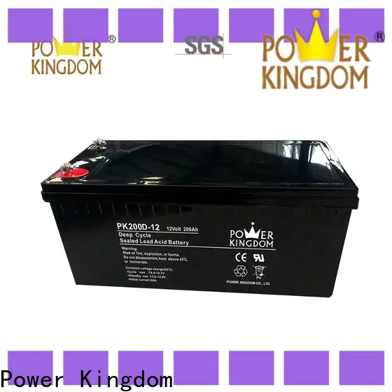 Power Kingdom Best 12v battery types with good price Power tools