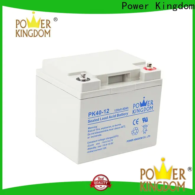Power Kingdom group 49 agm battery from China Power tools
