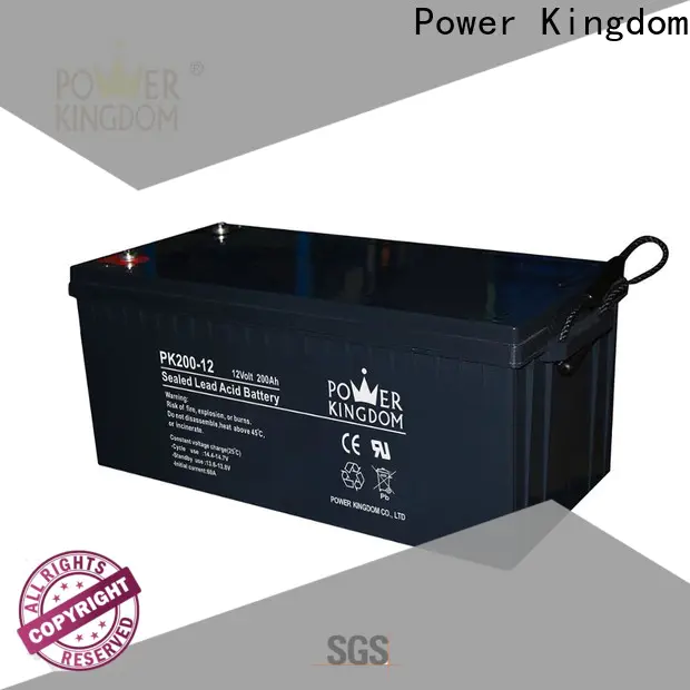 Power Kingdom wet cell battery maintenance Suppliers Power tools