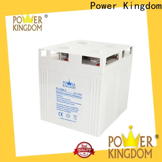Power Kingdom High-quality agm motorcycle battery charging factory price Automatic door system