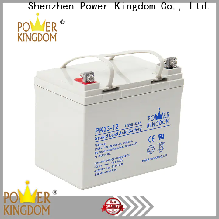Power Kingdom High-quality 12v gel battery for sale free quote