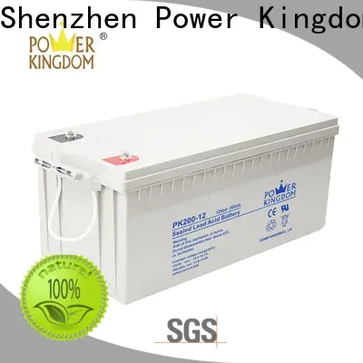 Power Kingdom Latest 100ah gel battery factory price Power tools