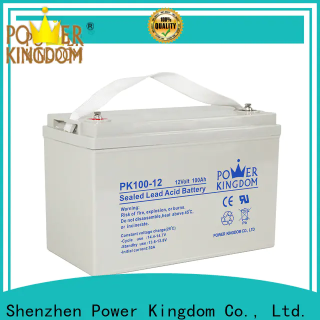 Power Kingdom everstart marine battery factory price Automatic door system