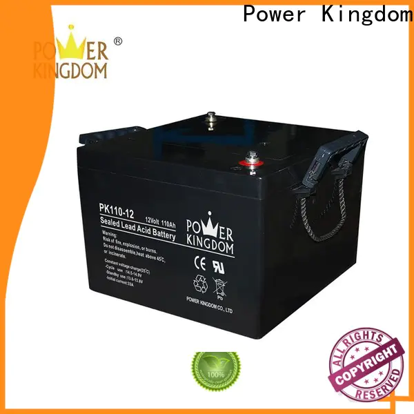 Power Kingdom valve regulated sealed lead acid company Power tools