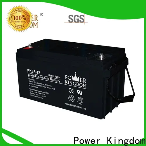 Power Kingdom no leakage design charging agm batteries with solar panels order now Power tools