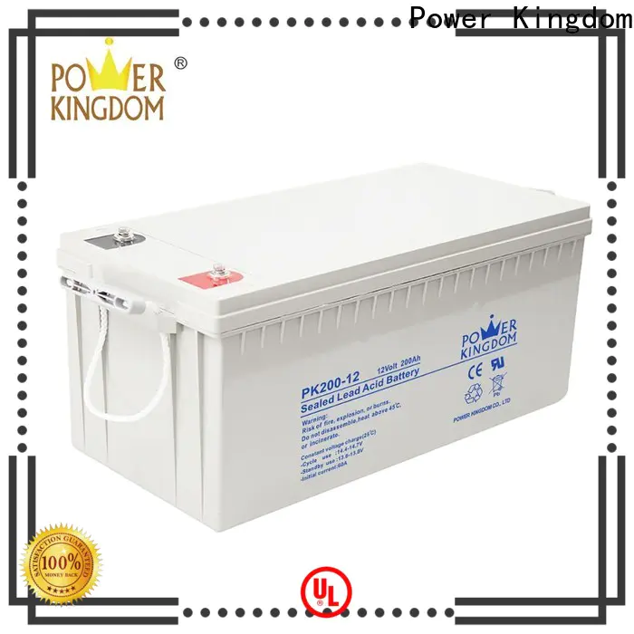 Power Kingdom exide agm battery customization