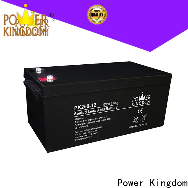 Power Kingdom advanced agm batteries for business solar and wind power system