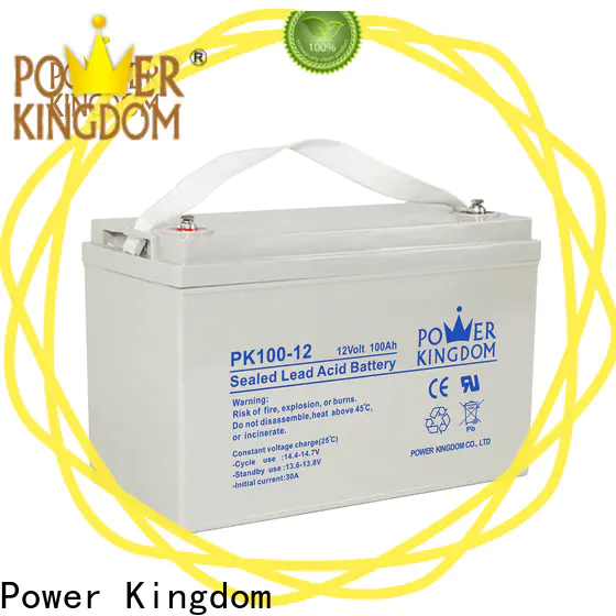 Power Kingdom lead acid gel battery from China