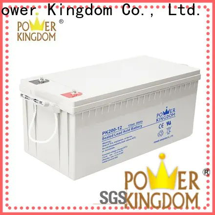 Power Kingdom 16 volt agm battery customization