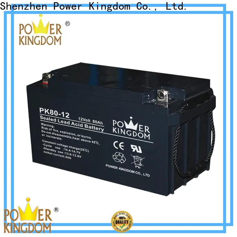 Power Kingdom gel valve regulated sealed battery factory price