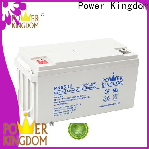 Power Kingdom High-quality deep cycle battery technology Suppliers