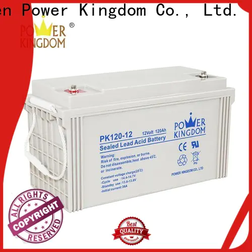 Power Kingdom deep cycle gel batteries for sale with good price Automatic door system