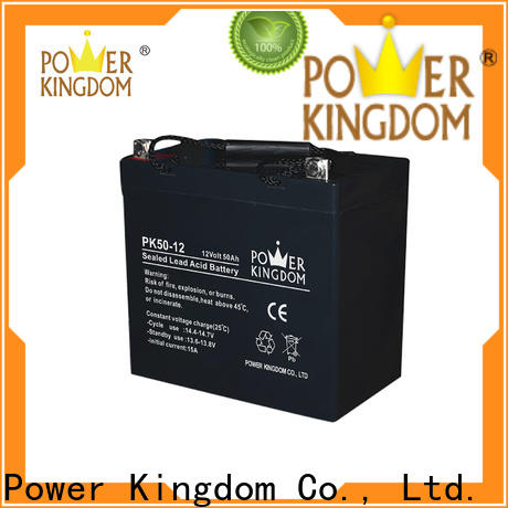 Power Kingdom lead acid battery charging order now Power tools