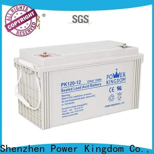 Power Kingdom dry battery 12v from China solar and wind power system