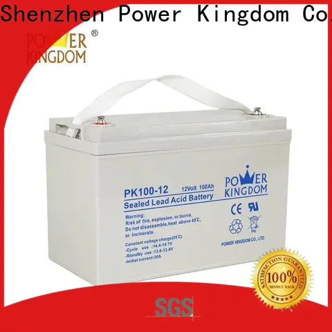 Power Kingdom Wholesale absorbed power agm batteries customization Power tools