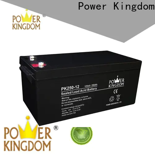 Custom best sealed battery Supply Power tools