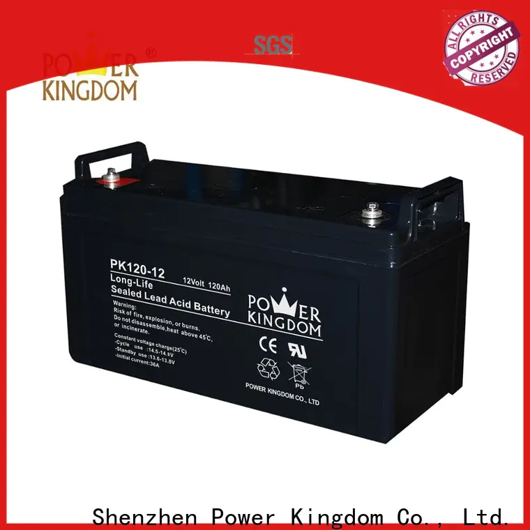 Power Kingdom Custom gel leisure battery factory price Automatic door system