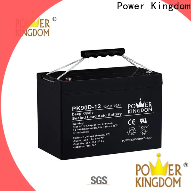 Power Kingdom Latest ag batteries with good price Power tools