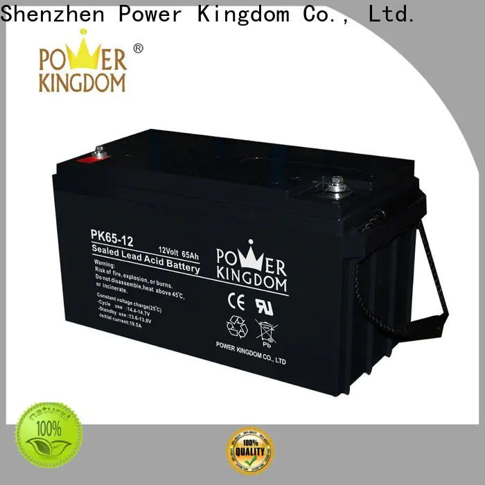 Power Kingdom 6v gel motorcycle battery factory price Automatic door system