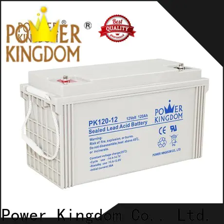 Power Kingdom Custom agm vrla batteries for business