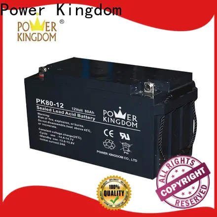 Power Kingdom glass mat batteries for sale factory Automatic door system