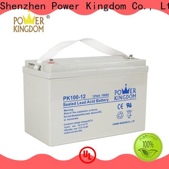 Power Kingdom mat battery charger for business