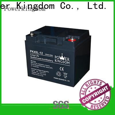 Power Kingdom High-quality agm batteries ltd factory price Automatic door system