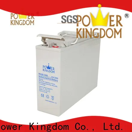 Power Kingdom no leakage design agm battery technology directly sale Automatic door system