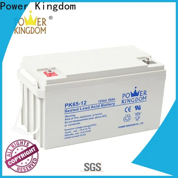 Power Kingdom Custom 12v gel cell marine battery customization