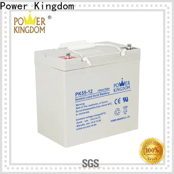 Power Kingdom glass mat battery prices directly sale Power tools