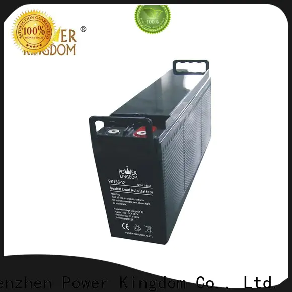 Power Kingdom High-quality agl batteries customization Power tools