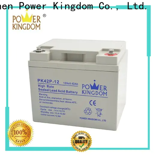 Power Kingdom High-quality true gel battery from China Power tools