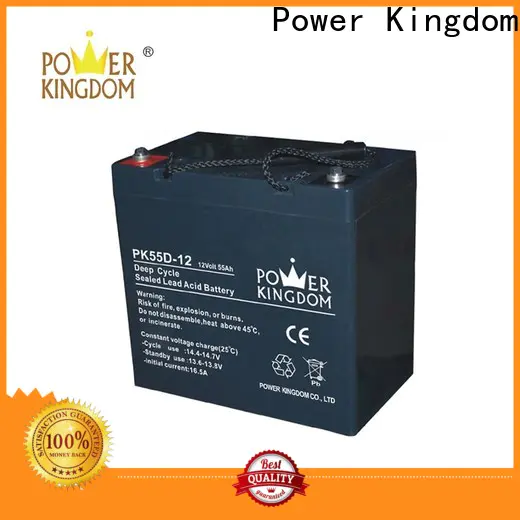 Power Kingdom 100ah gel battery Supply solar and wind power system