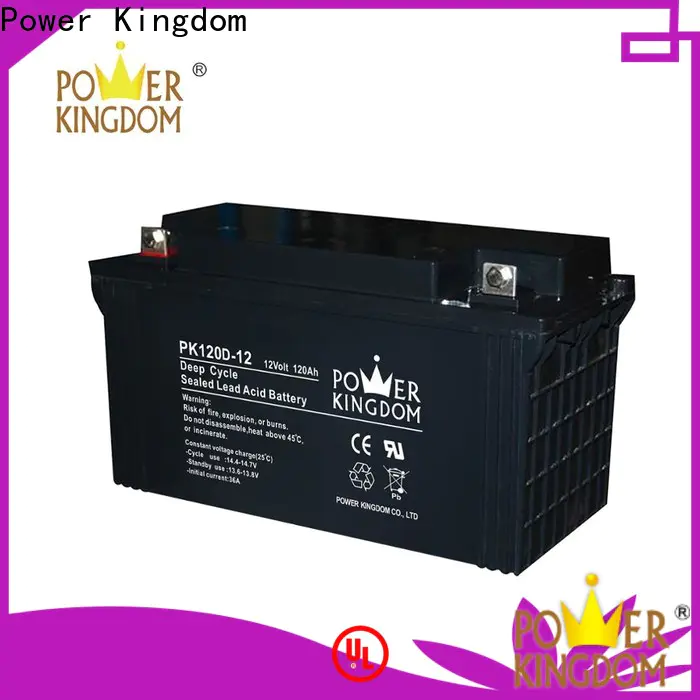 Power Kingdom Top 100ah agm battery factory price