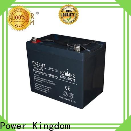 Power Kingdom agm powersport battery factory