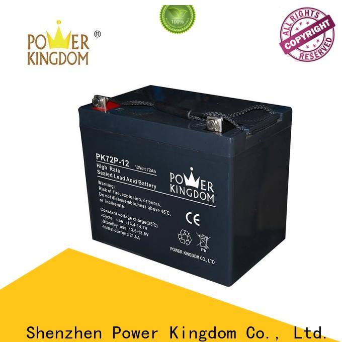 Power Kingdom Custom 12 volt gel cell battery charger manufacturers