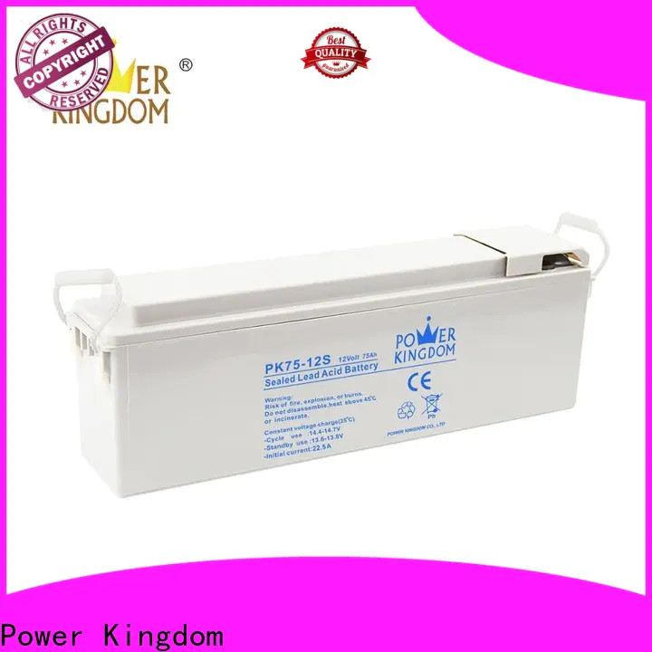 Power Kingdom gel car battery charger company Automatic door system