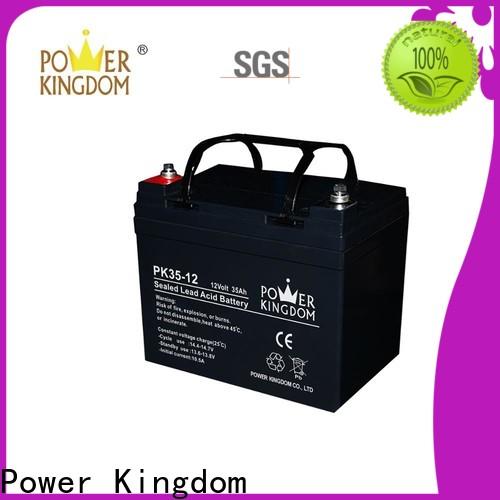 Power Kingdom New 6 volt gel cell customization Automatic door system