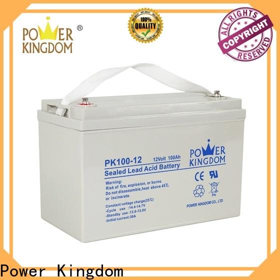 Power Kingdom lead acid battery construction factory price Automatic door system