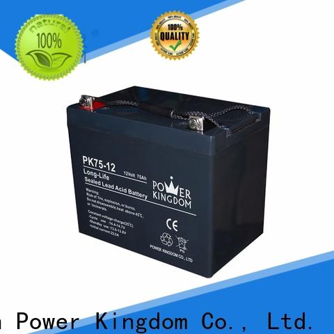 Custom 12v gel battery charger free quote Automatic door system