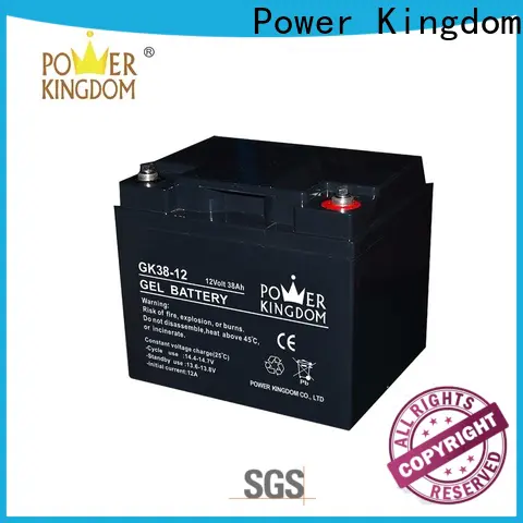 Power Kingdom interstate gel battery factory
