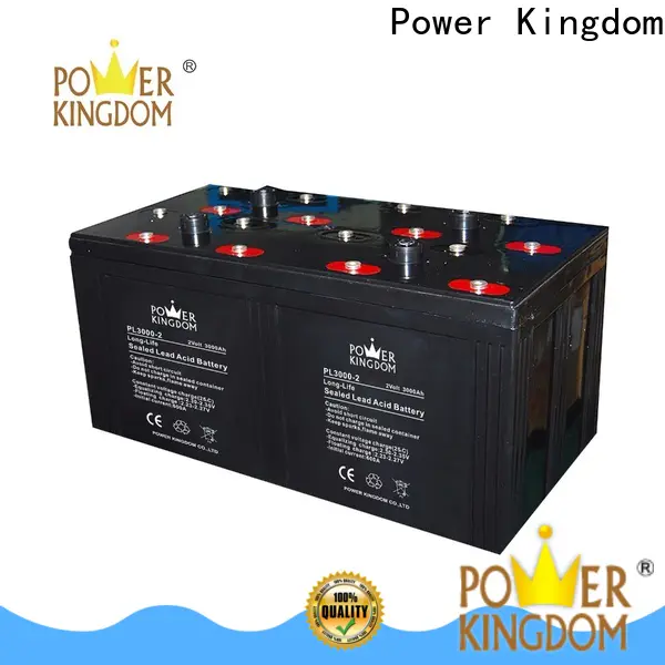 Power Kingdom Custom best gel car battery manufacturers Automatic door system