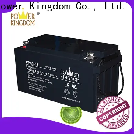 Power Kingdom advanced plate casters top deep cycle batteries manufacturers solar and wind power system