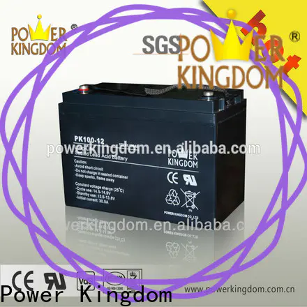 Power Kingdom ag batteries factory price Power tools