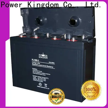 Power Kingdom good quality dry charge agm Supply electric toys