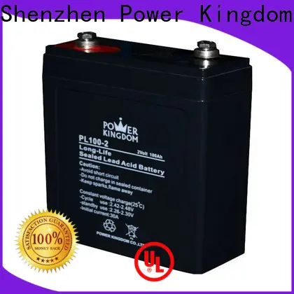 Power Kingdom vrla battery life expectancy for business electric toys