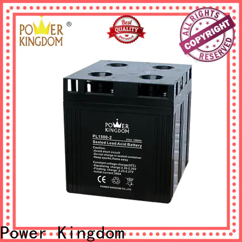 Power Kingdom good quality flooded cell battery Supply fire system