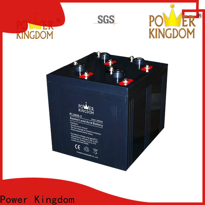Power Kingdom Best best battery charger for agm battery factory price fire system