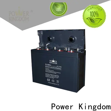 Power Kingdom charging agm batteries with standard charger manufacturers electric toys